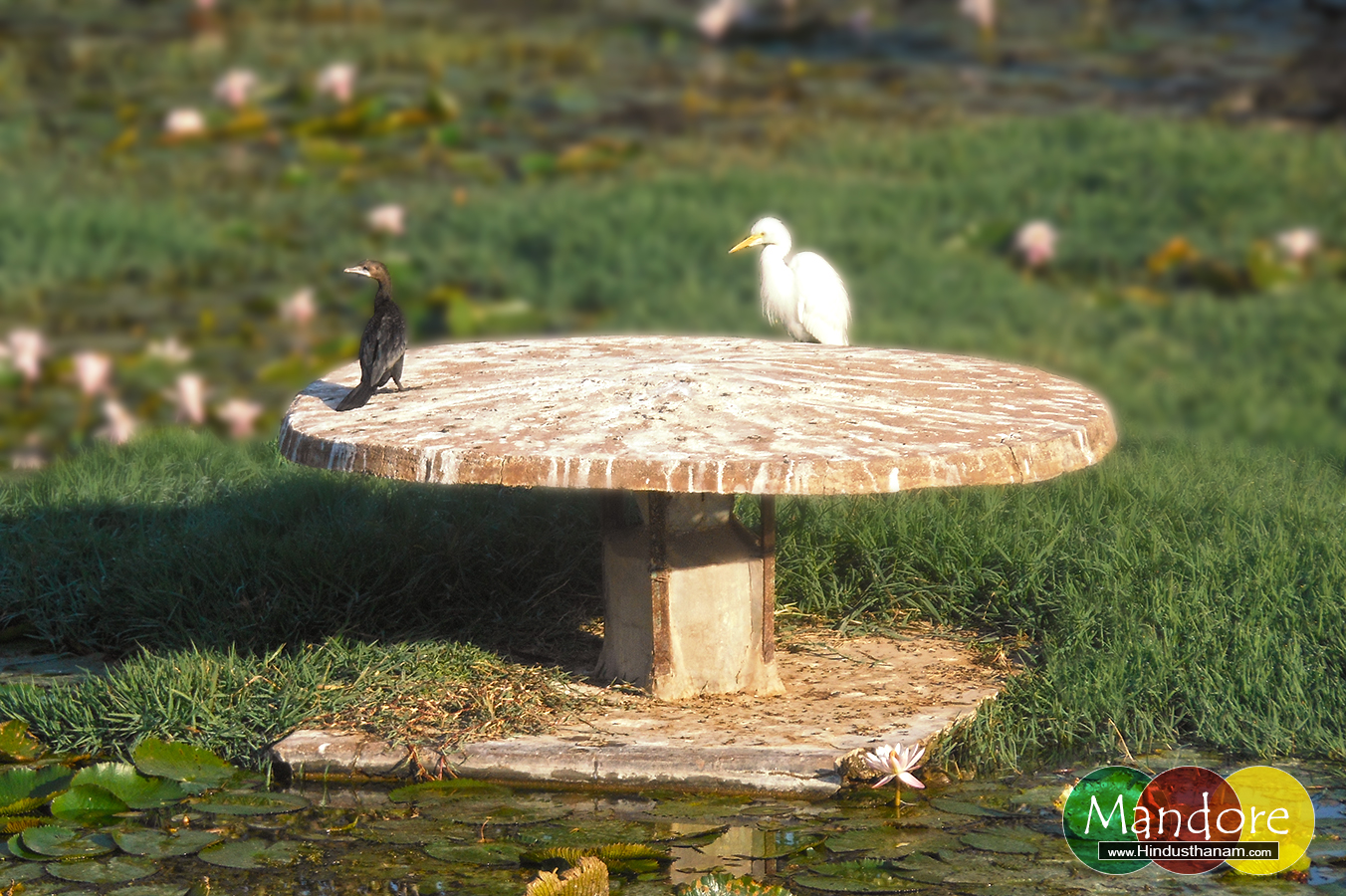 birds-mandore-gardens-jodhpur