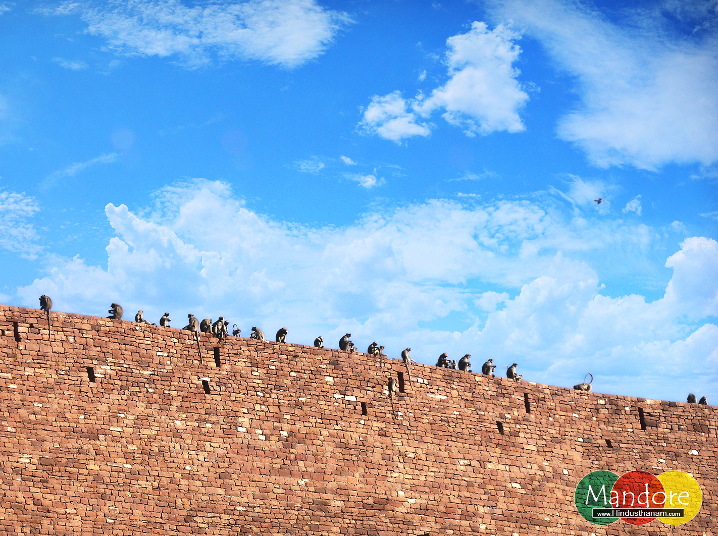 monkeys-mandore-gardens-jodhpur