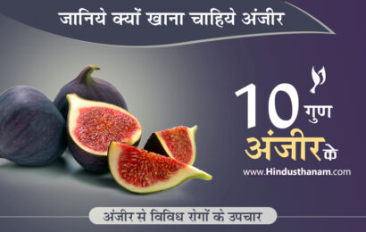 अंजीर के लाभ और विविध रोगों में उपयोग 10 Benefits of Figs or Anjeer in Hindi