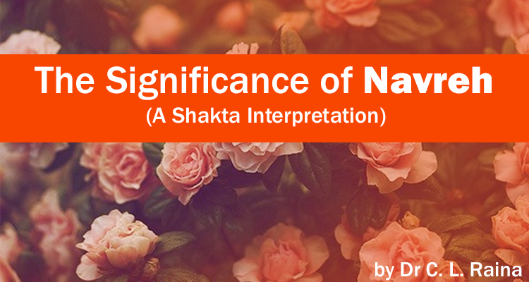 The Significance of Navreh