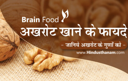 अखरोट खाने के लाभ व विभिन्न रोगों में उपयोग Walnuts Benefits and Side Effects in Hindi