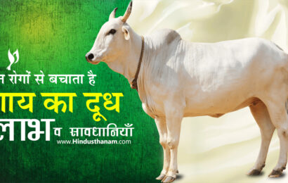 गाय के दूध के लाभ व विभिन्न रोगों में उपयोग (Benefits of Cow Milk)