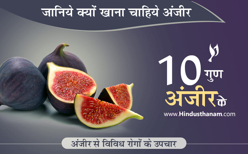 अंजीर के लाभ और विविध रोगों में उपयोग 10 Benefits of Figs or Anjeer in Hindi