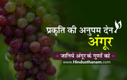 प्रकृति की अनुपम देन ‘अंगूर, Properties and Health Benefits of Grapes in Hindi