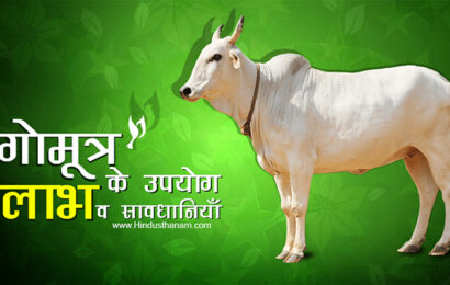 गोमूत्र के विभिन्न रोगों में उपयोग, लाभ व सावधानियाँ Cow Urine (Gomutra) Benefits and Side Effects in Hindi